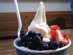 frozen yogurt